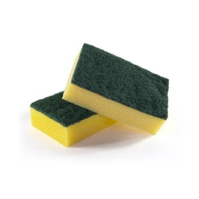 Economy Sponge Scourer 10 Pack