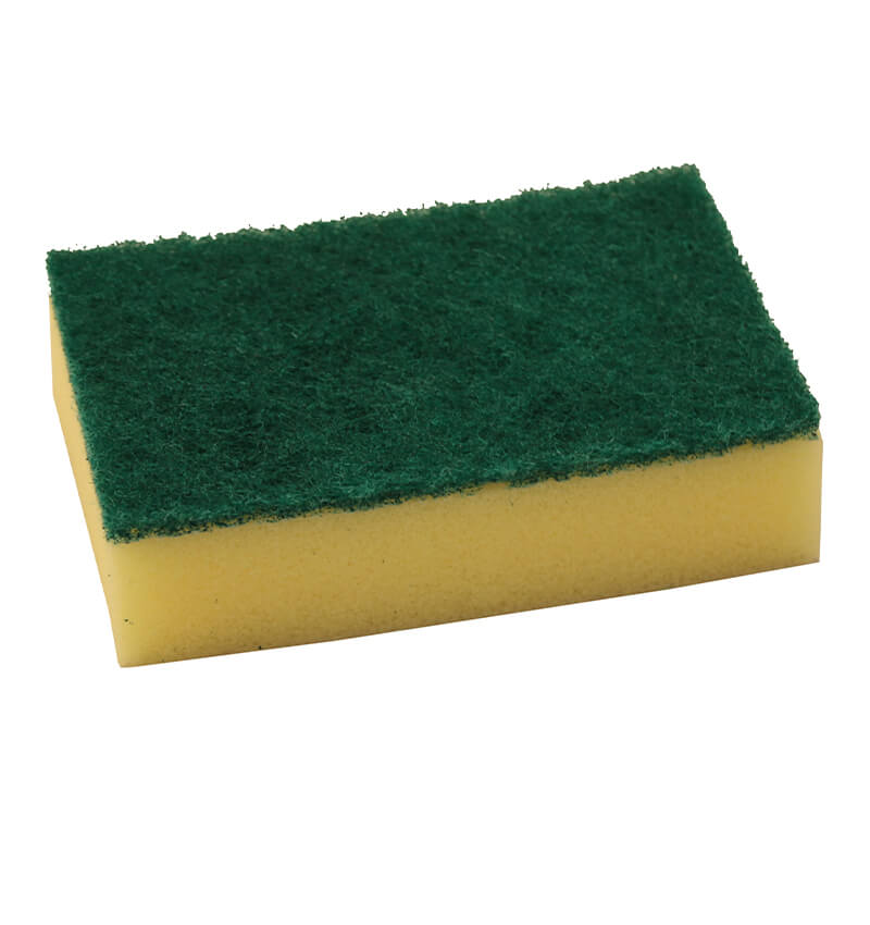 Economy Sponge Scourer 10 Pack