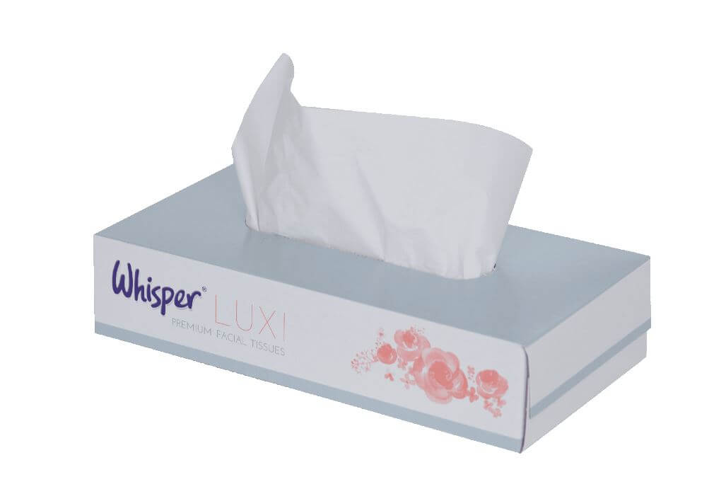 Professional White 2 Ply Facial Tissue 100 Sheets 36 Pack