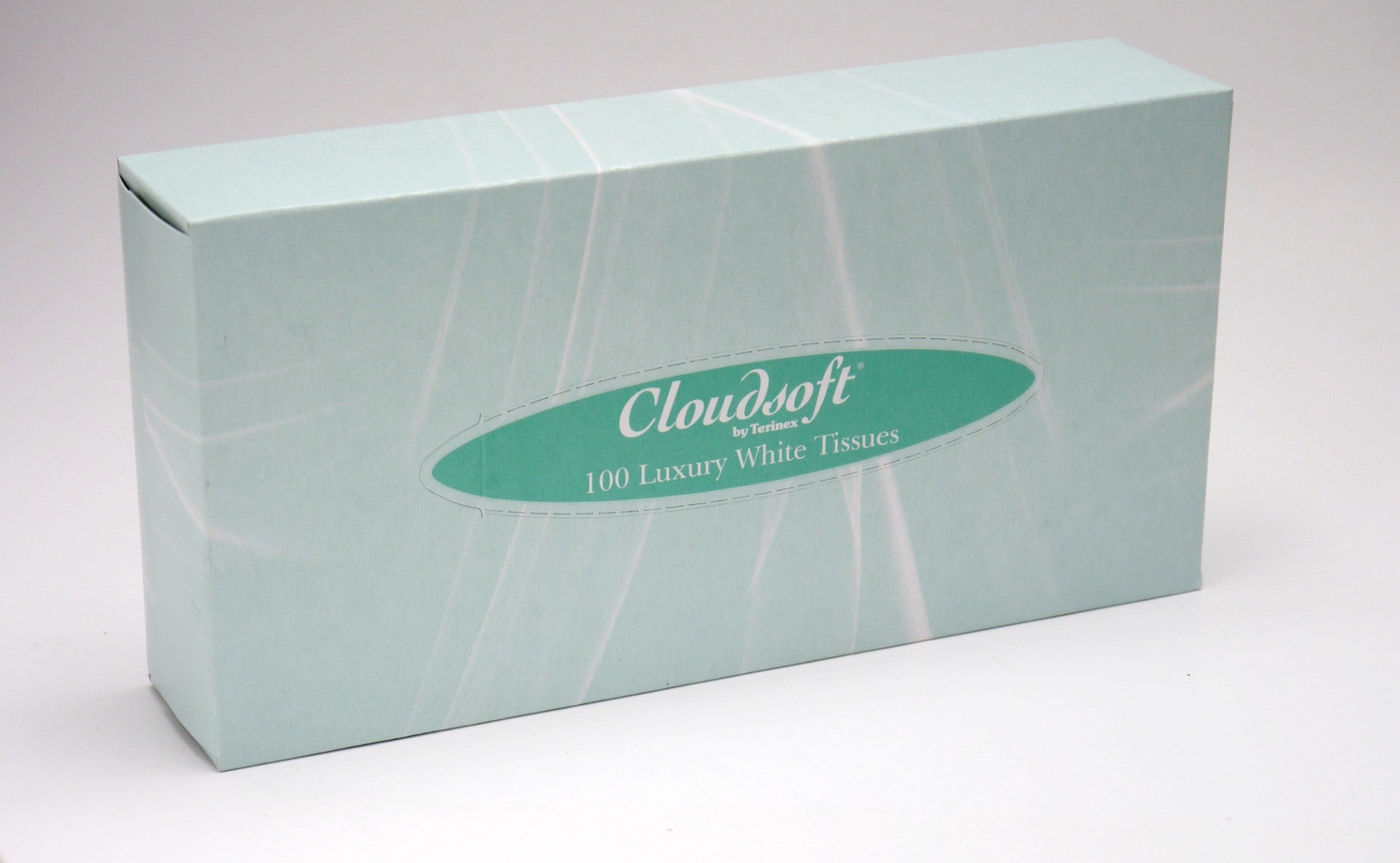 White 2‑Ply Facial Tissues 100 Sheets 24 Pack